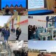 浙江举办水稻产业链延伸农机化技术暨统计年报培训班